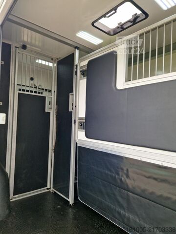 Transporte de cavalos Renault Master STX S3 Pro-Safety hengsten uitvoering pa...