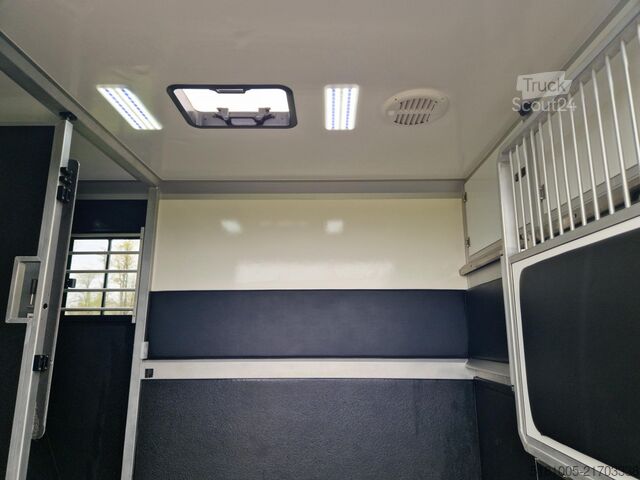 Transporte de cavalos Renault Master STX S3 Pro-Safety hengsten uitvoering pa...