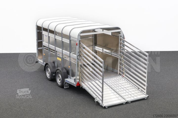  Ifor Williams TA510G | 12x6 | RAMPE-/TÜR-KOMBI 372X178X183CM VIEHANHÄNGER | 2X LÜFTUNG