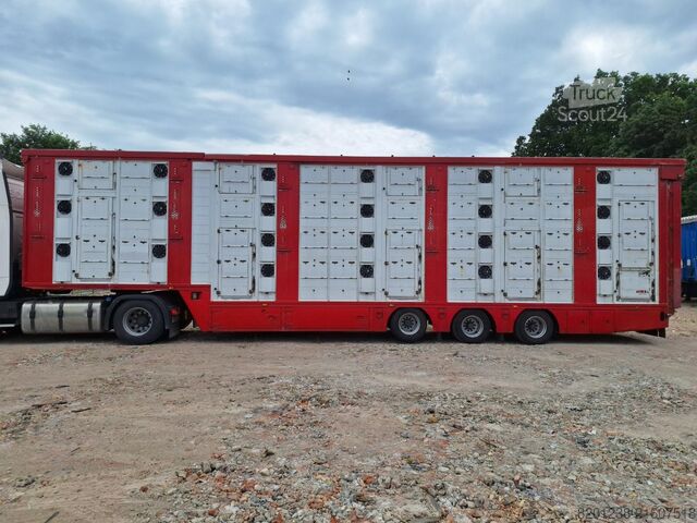 állatszállító félpótkocsi Finkl SAV35 3-Stock