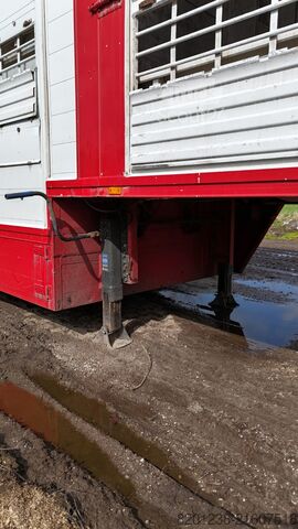 állatszállító félpótkocsi Finkl SAV35 3-Stock