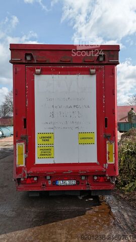 állatszállító félpótkocsi Finkl SAV35 3-Stock