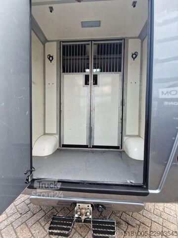  Opel Movano STX S3 paardenwagen automaat hengsten ui...