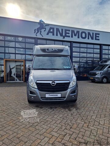  Opel Movano STX S3 paardenwagen automaat hengsten ui...