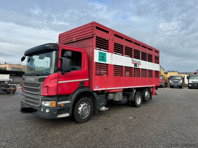 Camion per bestiame SCANIA P 320 TRASPORTO ANIMALE 6X2