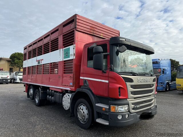 Standardní silniční tahač SCANIA P 320 TRASPORTO ANIMALE 6X2