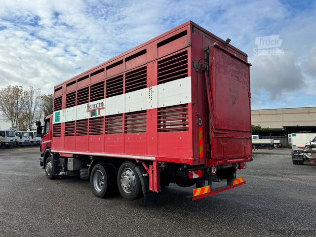 Camion per bestiame SCANIA P 320 TRASPORTO ANIMALE 6X2