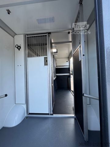 Livestock transporter RENAULT Master ZF 9-GANG AUTOM. 2025er STX, 3-Haras