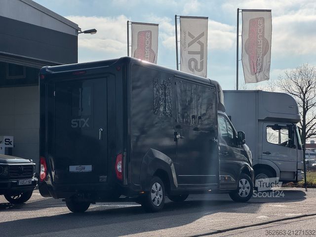 Livestock transporter RENAULT Master ZF 9-GANG AUTOM. 2025er STX, 3-Haras