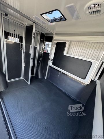 Livestock transporter RENAULT Master ZF 9-GANG AUTOM. 2025er STX, 3-Haras