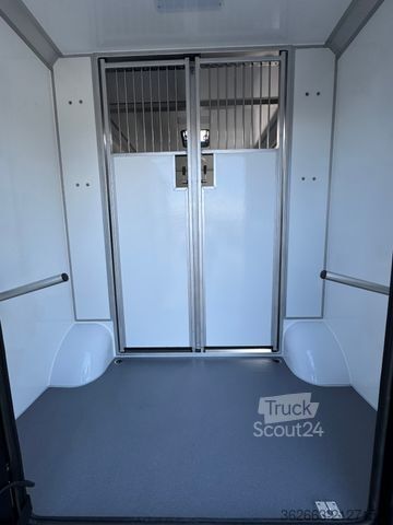 Livestock transporter RENAULT Master ZF 9-GANG AUTOM. 2025er STX, 3-Haras