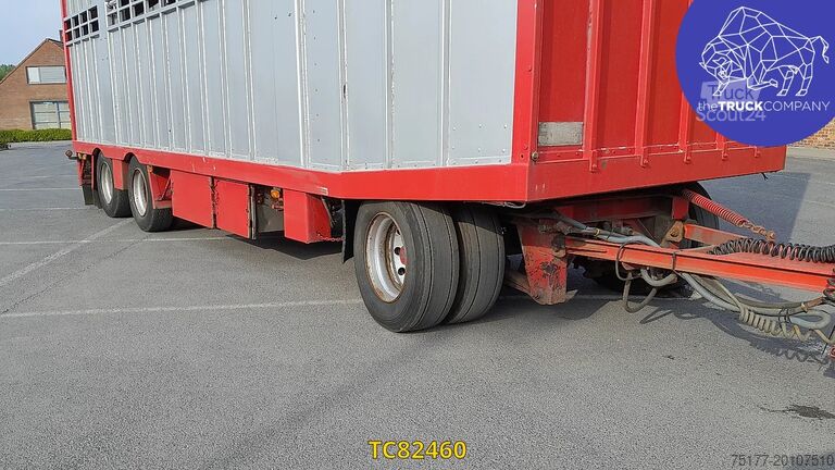 Viehtransport Gheysen & Verpoort 