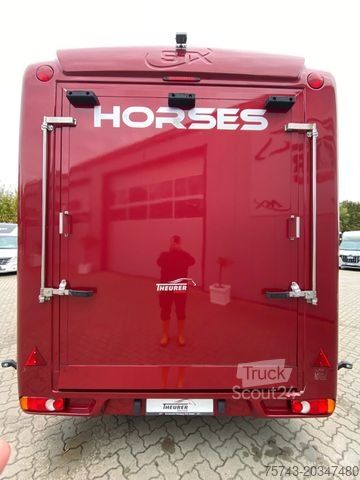 Zirgu pārvadāšanas piekabe  STX Trailer  3,5t   Wohn. Dusche