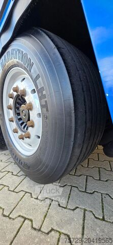 Μεταφορά βοοειδών Berdex Berdex very nice trailer, Type 2, water + fans,...