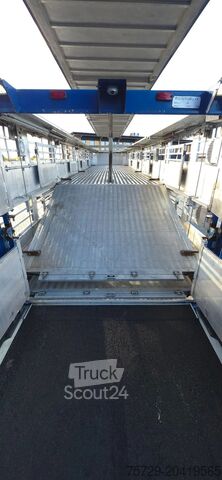 Μεταφορά βοοειδών Berdex Berdex very nice trailer, Type 2, water + fans,...