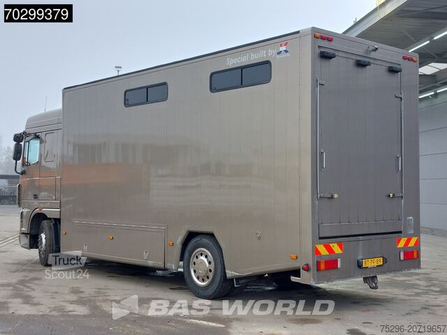 Zirgu transports DAF XF105.410 XF 4X2 NL-Truck JK Horsetruck 6 Horse...