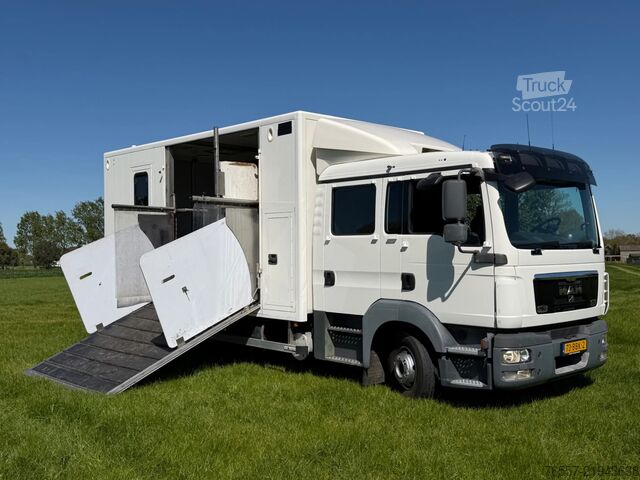 MAN TGL 12.180 TGL 12.180 SAMOCHÓD DO TRANSPORTU KONI. MAN TGL 12.180 TGL 12.180 PAARDENWAGEN.
