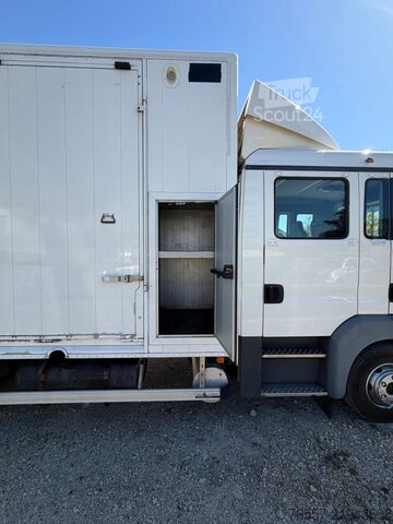 MAN TGL 12.180 TGL 12.180 SAMOCHÓD DO TRANSPORTU KONI. MAN TGL 12.180 TGL 12.180 PAARDENWAGEN.