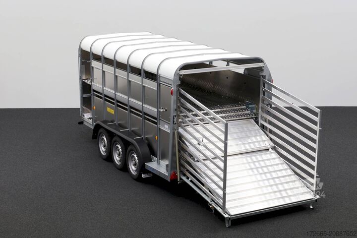 állatszállító pótkocsi Ifor Williams TA510|14x6|DOPPELSTOCK 434X178X183CM