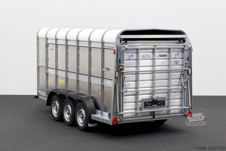 állatszállító pótkocsi Ifor Williams TA510|14x6|DOPPELSTOCK 434X178X183CM
