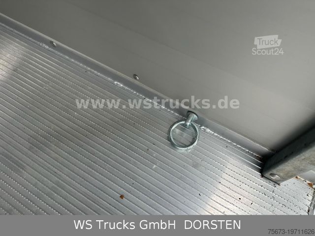 Remorcă pentru transport cai WST Edition 3000 2.000 kg Viehanhänger