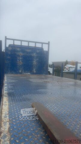 Vinçli platform DAF CF 480 8x4 E6 / Fassi F315A.2.26 crane