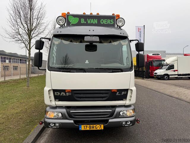 Autotransporter varevogn DAF LF 250 12.250