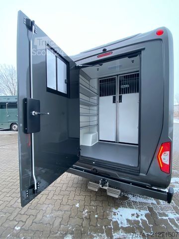 Kvægetransportør MERCEDES-BENZ STX Sprinter  GG 4,100KG  Haras Hengste