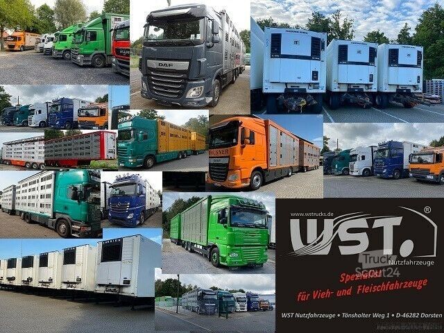 Koeltrailers SCHMITZ CARGOBULL KO18 TKing SL 100 Rohrbahn Fleisch