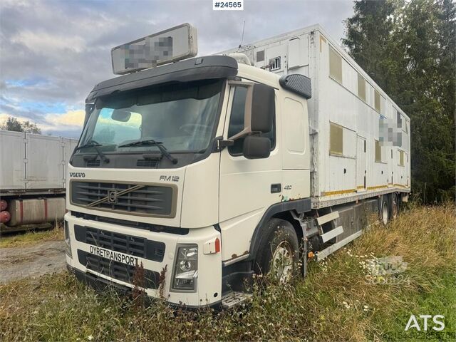 Transport af kvæg Volvo FM12 6x2 Livestock Truck
