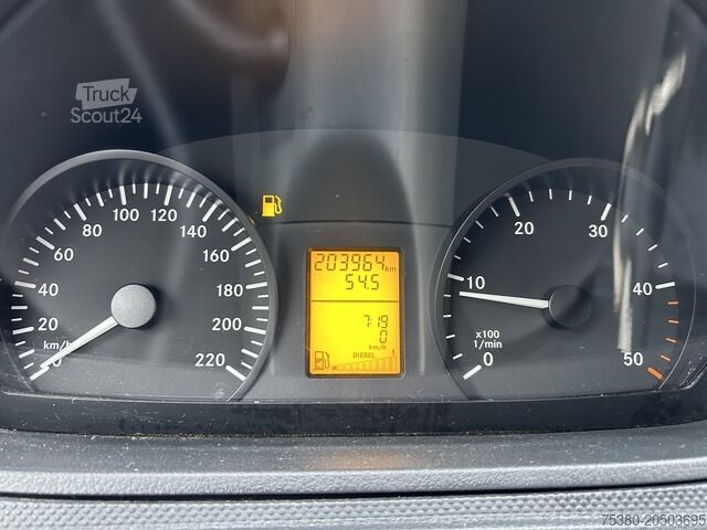 Duba panelată mercedes-benz Vito 113 CDI lang 1Hand*WEBASTO*KLIMA*TEMPOMAT