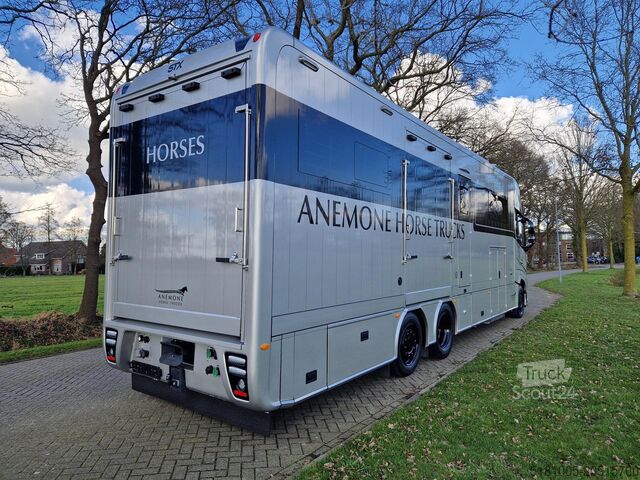 Transport af heste Volvo FH 540 Jong gebrukt 7 paards plus living pop-ot...
