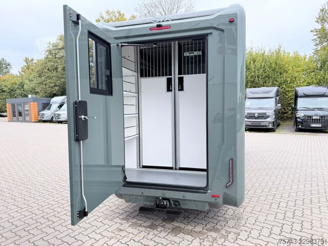 Boskapstransportör RENAULT Master STX 5 Sitzer Haras ex. Lang Automatik