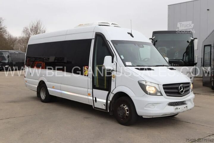 Minibus Mercedes-Benz Sprinter Airco lift
