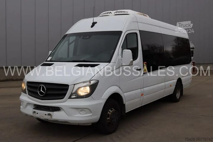 Minibus Mercedes-Benz Sprinter Airco lift