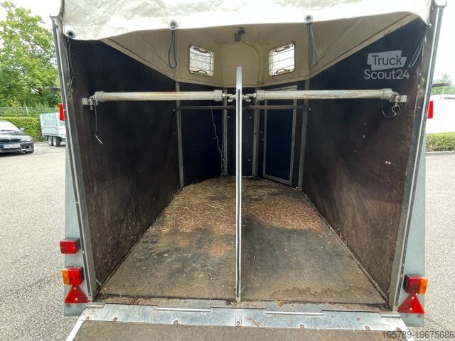 Remorque de transport de chevaux WM P