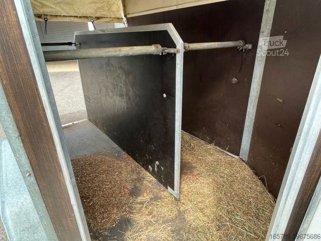 Remorque de transport de chevaux WM P