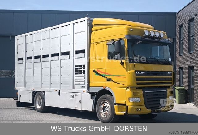 Viehtransporter LKW DAF XF 410 SC Menke Doppelstock
