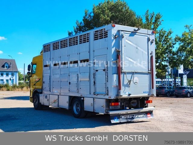 Viehtransporter LKW DAF XF 410 SC Menke Doppelstock