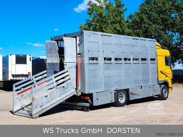 Viehtransporter LKW DAF XF 410 SC Menke Doppelstock