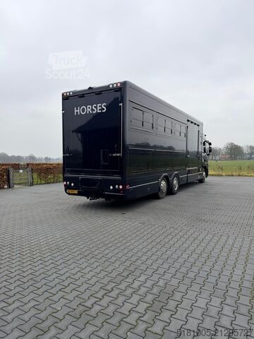 Transport de chevaux Renault T Renault T Roelofsen 10 Paards hengsten uitvoe...