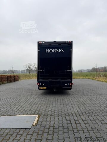 Transport de chevaux Renault T Renault T Roelofsen 10 Paards hengsten uitvoe...