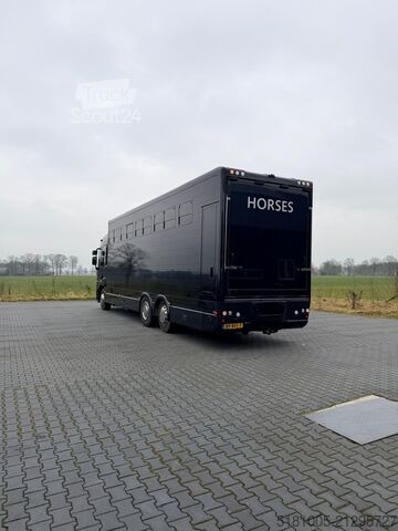 Transport de chevaux Renault T Renault T Roelofsen 10 Paards hengsten uitvoe...