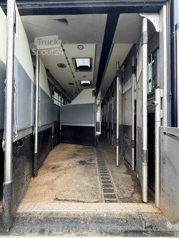 Transport de chevaux Renault T Renault T Roelofsen 10 Paards hengsten uitvoe...