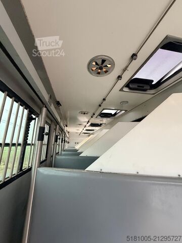 Transport de chevaux Renault T Renault T Roelofsen 10 Paards hengsten uitvoe...