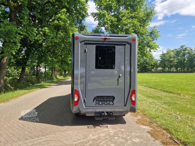 Paarden transport Renault Master Actie! nieuw model STX 2025 paardenwagen...