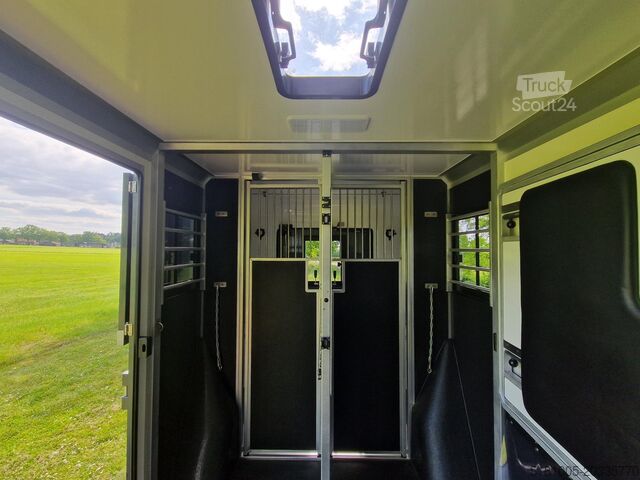 Paarden transport Renault Master Actie! Nieuw model STX 2025 paardenwagen...