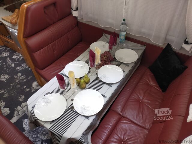 Kapuzinerkresse (eine Blumenart oder Farbbezeichnung, je nach Kontext) MAN TGL 12.240 PHOENIX ALCOVE 11.100 SG