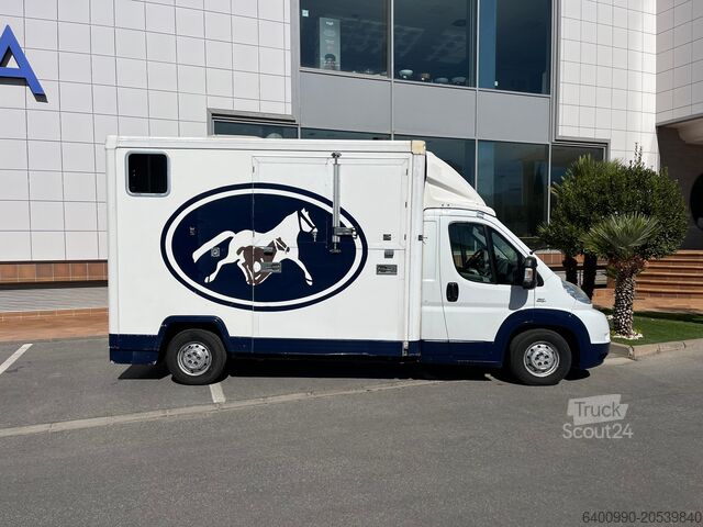 Transporte de caballos FIAT Ducato