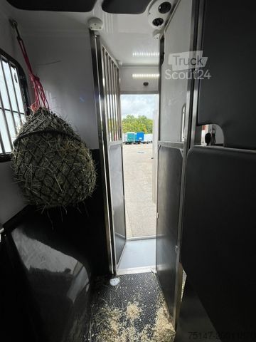 Transporteur de bétail RENAULT Master ATM Haras 2 Pferde unfallfrei